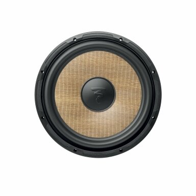 Focal P 30 FSE