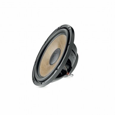 Focal P 30 FSE Focal P 30 FSE