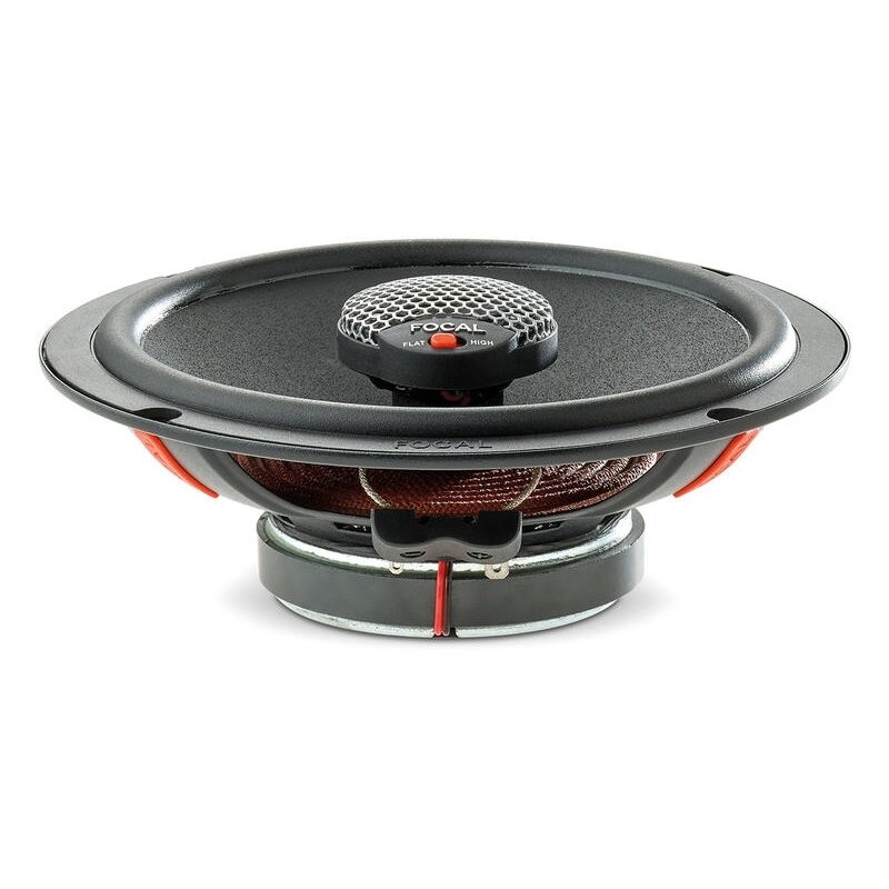 Focal ICU 165 1