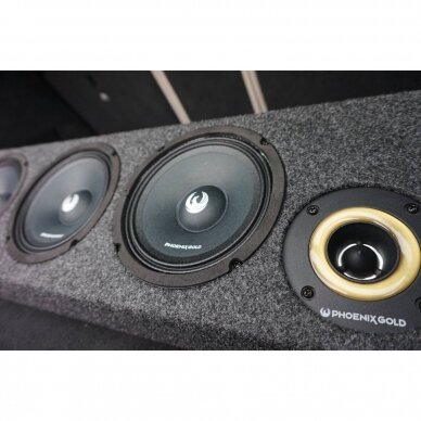 Phoenix Gold ZPROB654 3 Phoenix Gold ZPROB654 3
